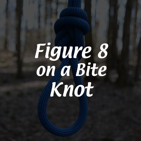 Figure 8 on a Bite Knot